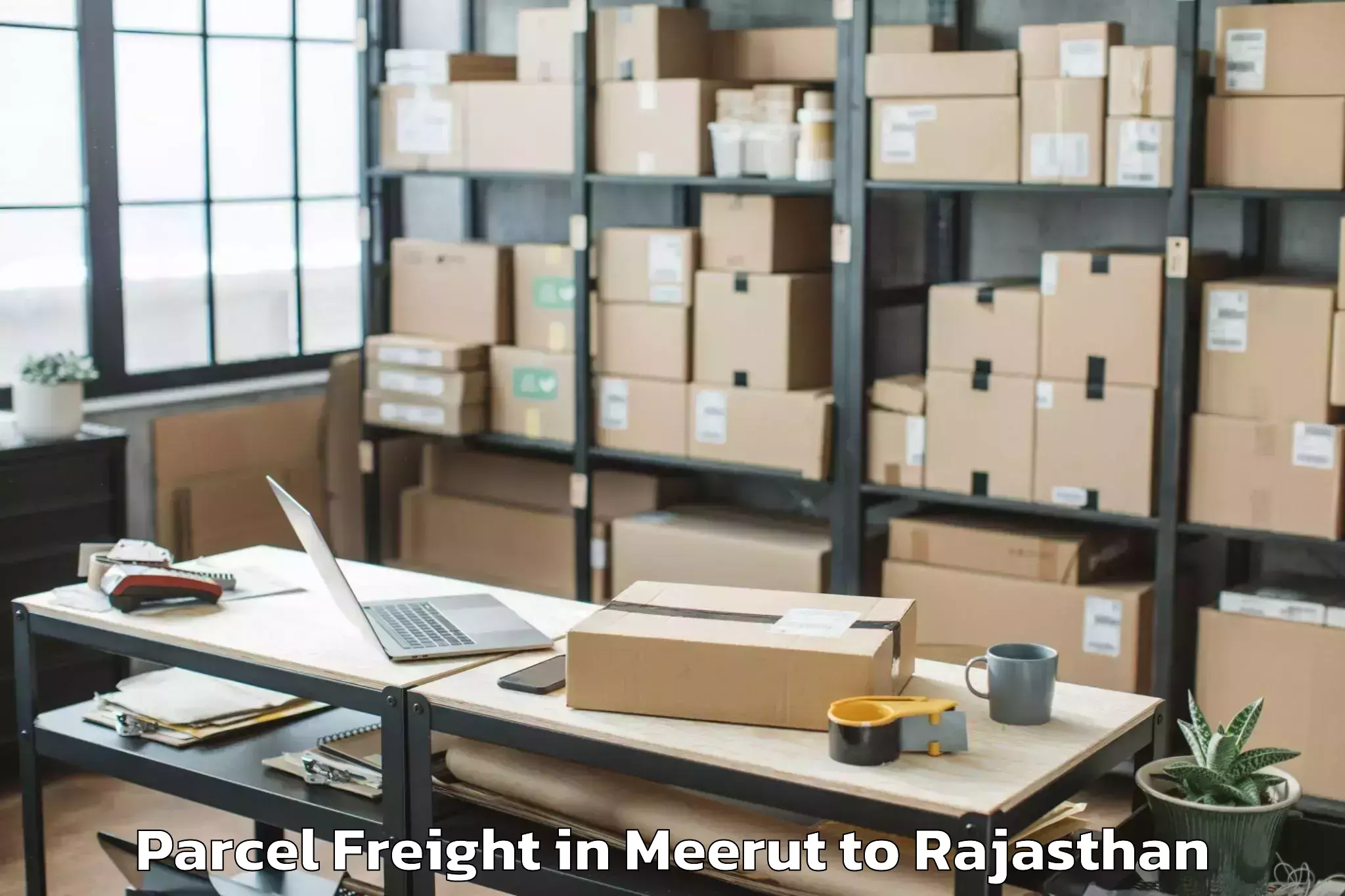 Professional Meerut to Nims University Jaipur Parcel Freight